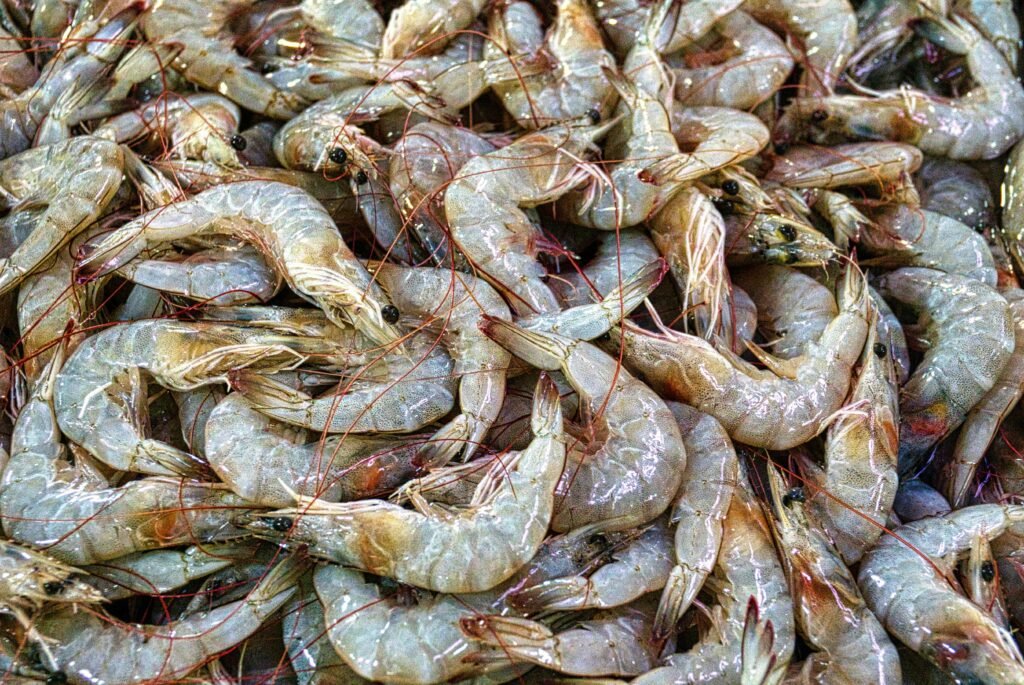 pexels photo 3680164 3680164 1 A close-up of fresh raw prawns displayed at a seafood market in Banten, Indonesia.